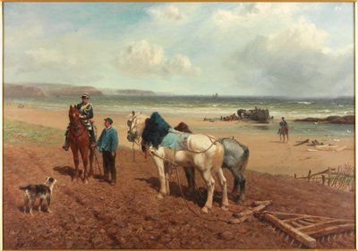 The Story of the Wreck by Richard Beavis